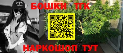 прущие крисы Моздок