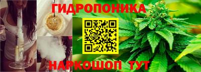 прущие крисы Моздок