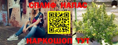 прущие крисы Моздок