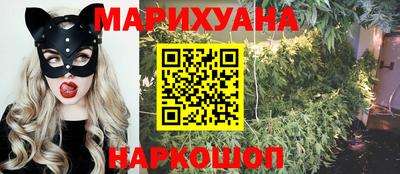 прущие крисы Моздок