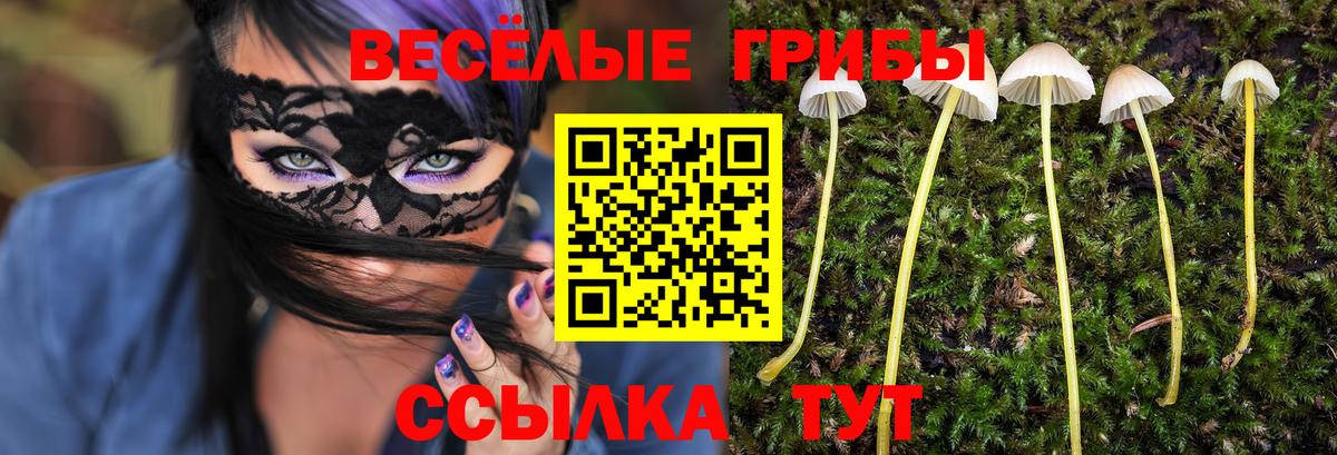 Галлюциногенные грибы мицелий  Вход с VPN  Тамбов 